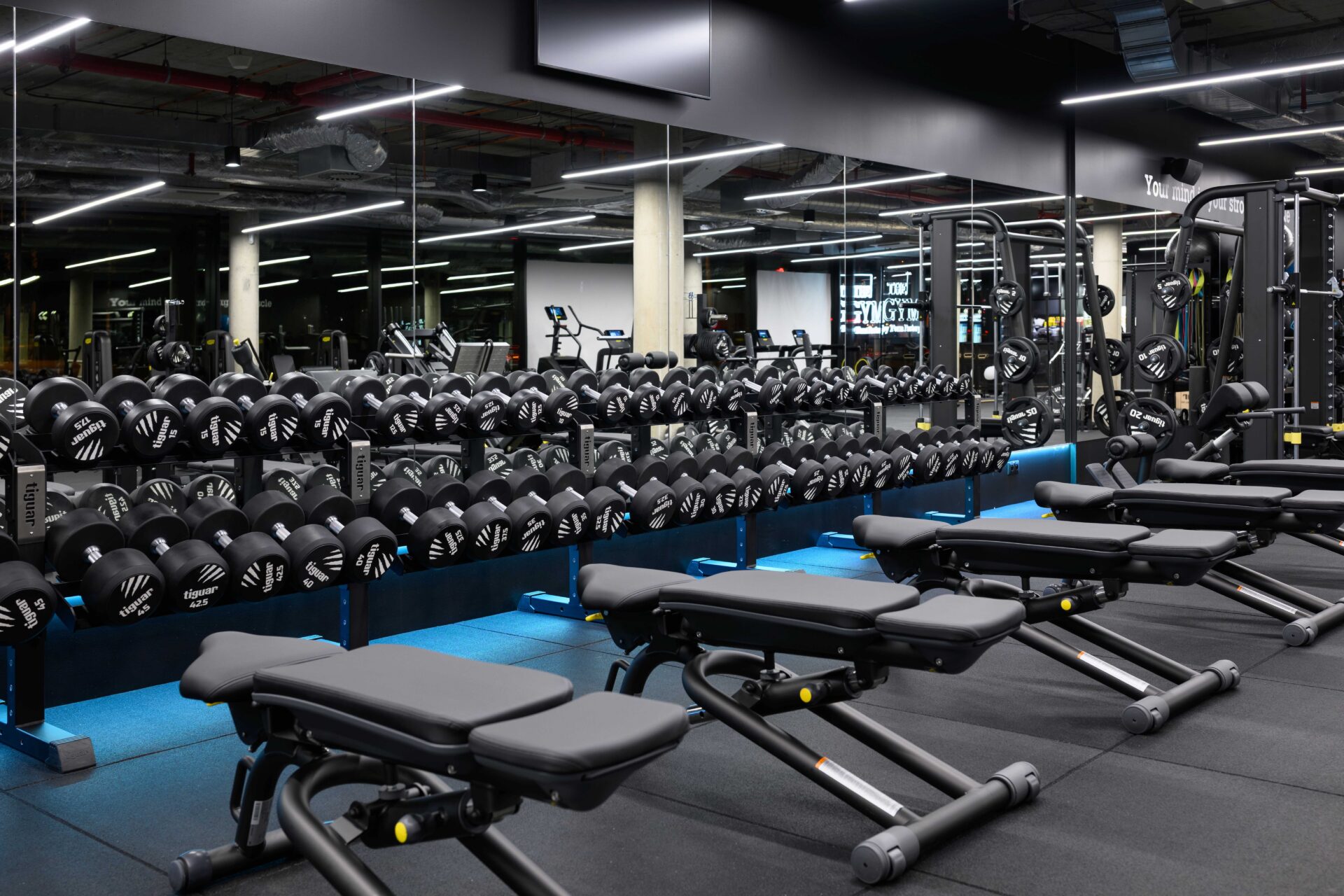 Gymnasium